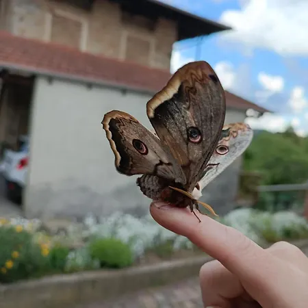 Le Zie Valdilana *