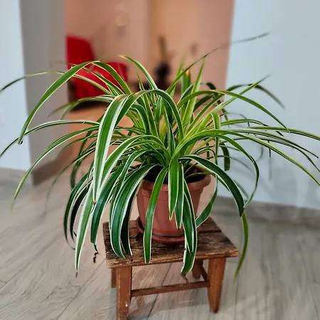 Nyaraló Le Zie Valdilana